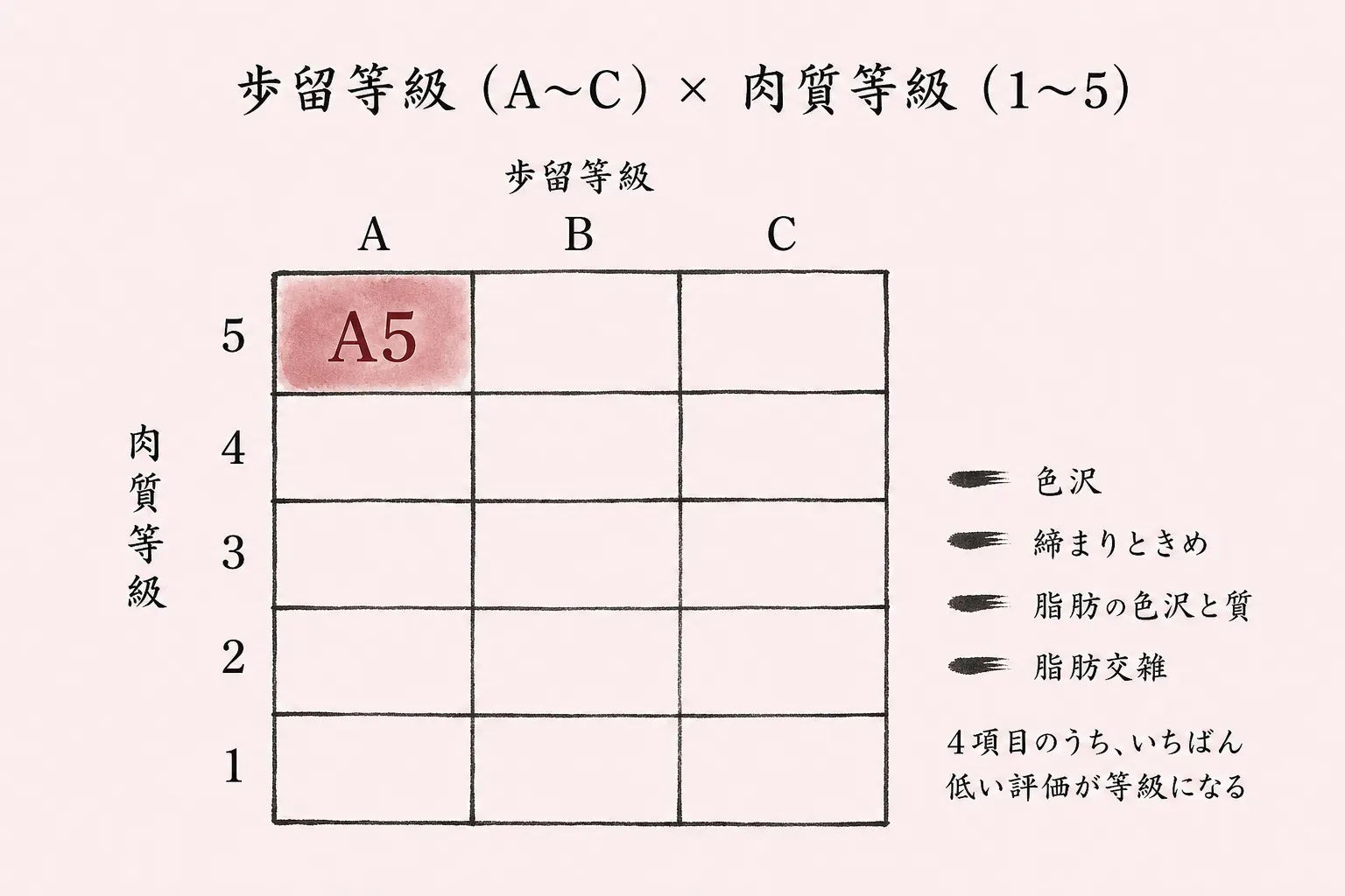 歩留等級（A〜C）×肉質等級（1〜5）。4項目のうち、いちばん低い評価が等級になる。色沢・締まりときめ・脂肪の色沢と質・脂肪交雑