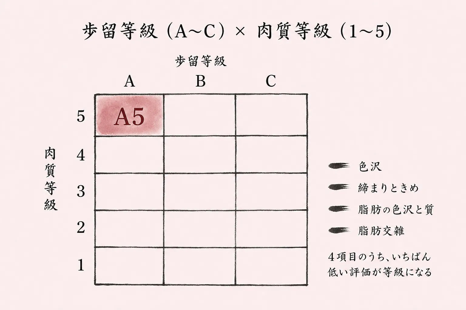 歩留等級（A〜C）×肉質等級（1〜5）。4項目のうち、いちばん低い評価が等級になる。色沢・締まりときめ・脂肪の色沢と質・脂肪交雑
